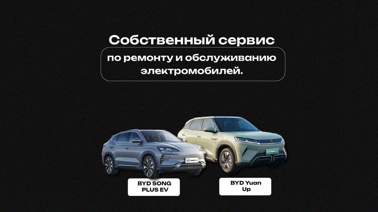 Специальное новогоднее предложение